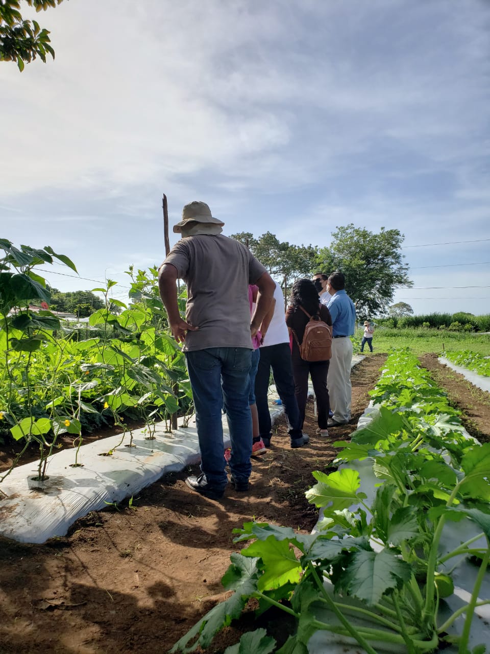 Productores viendo un sembradio orgánico